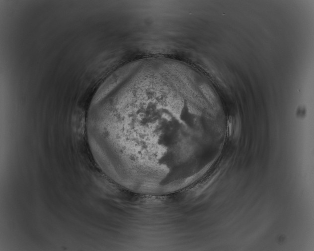 X0000101161251200807181350