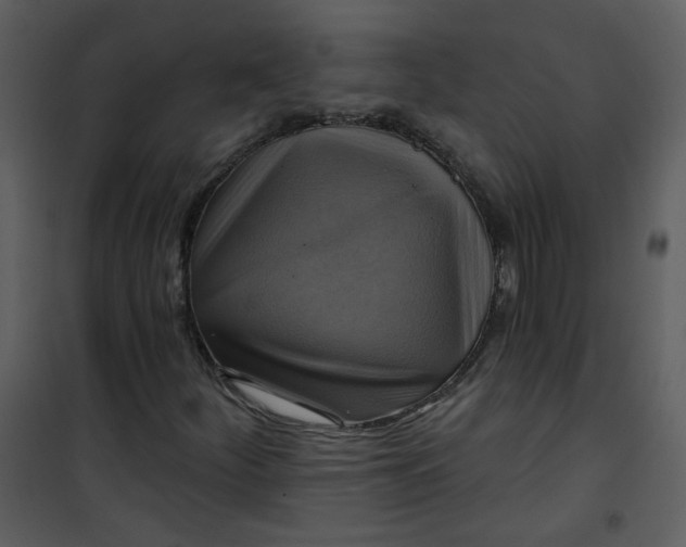 X0000101161252200807181350