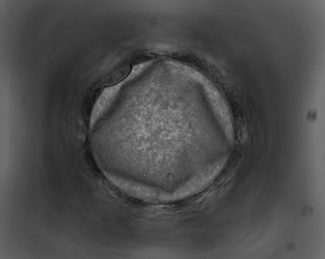 X0000101161253200807181350