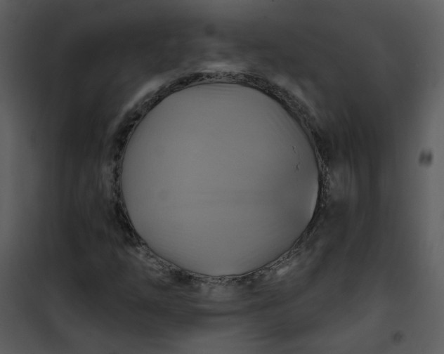 X0000101161254200807181350