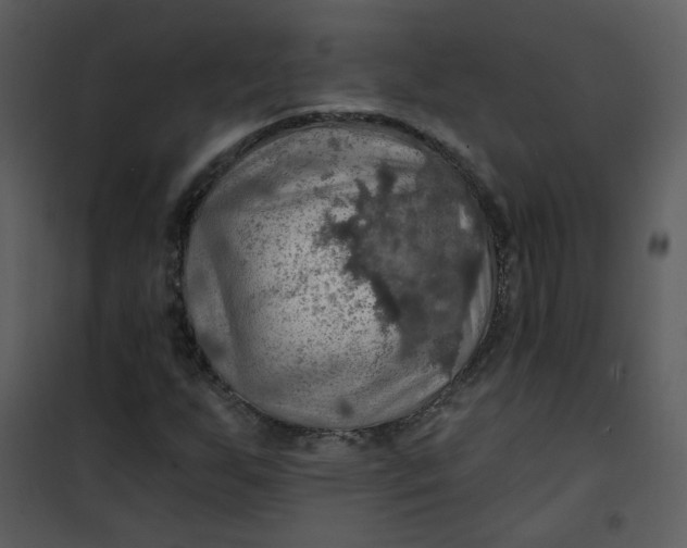 X0000101161255200807181350