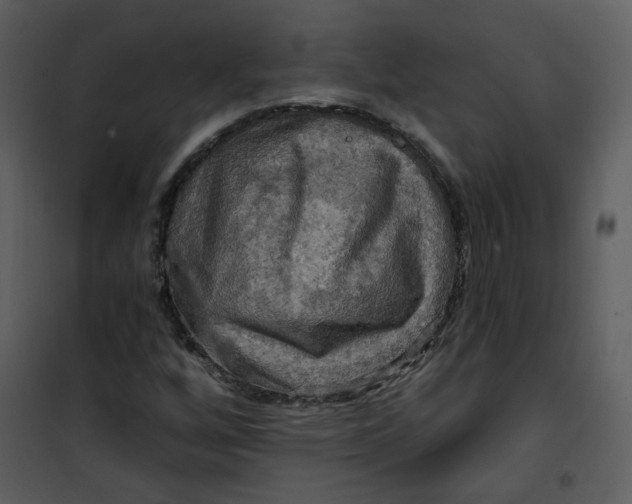 X0000101161256200807181350