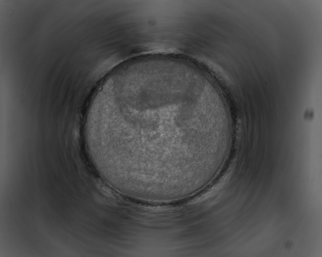 X0000101161257200807181350