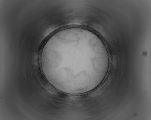 X0000101161258200807181350