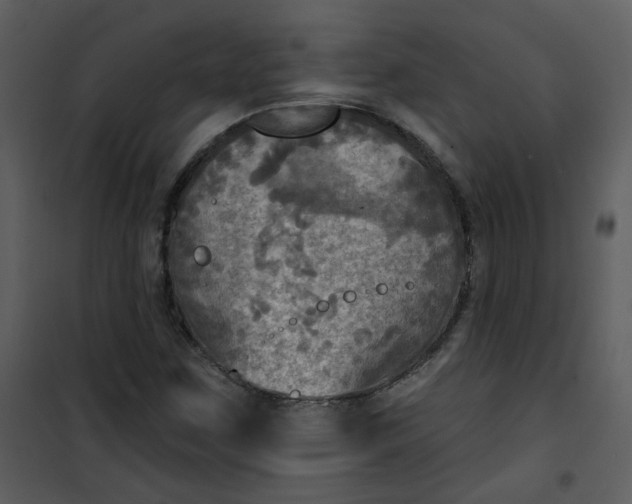 X0000101161259200807181350