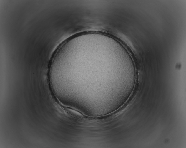 X0000101161260200807181350