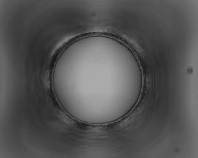 X0000101161262200807181350