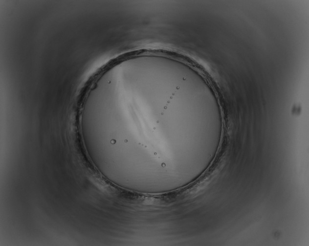 X0000101161263200807181350