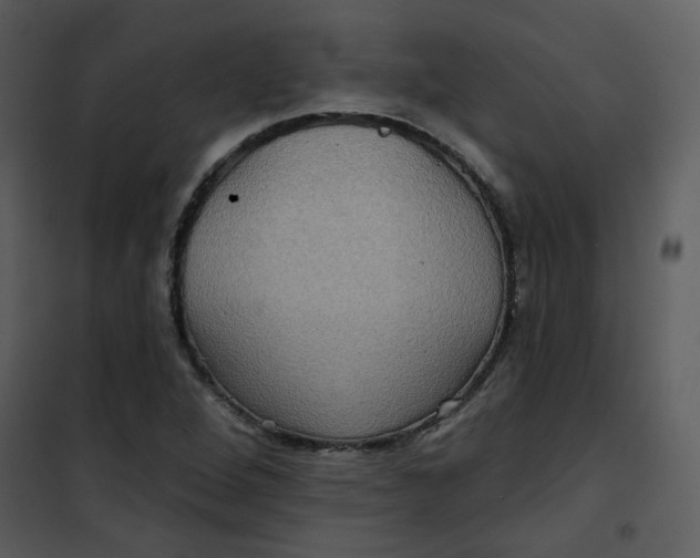 X0000101161264200807181350