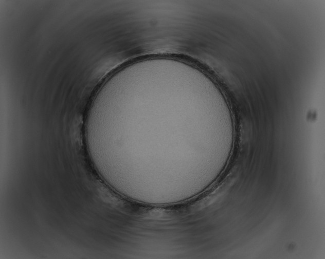 X0000101161265200807181350