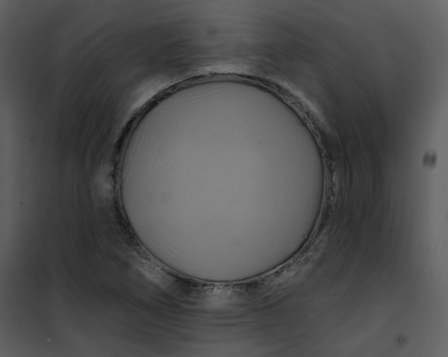 X0000101161266200807181350