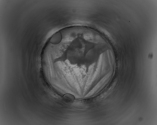 X0000101161267200807181350