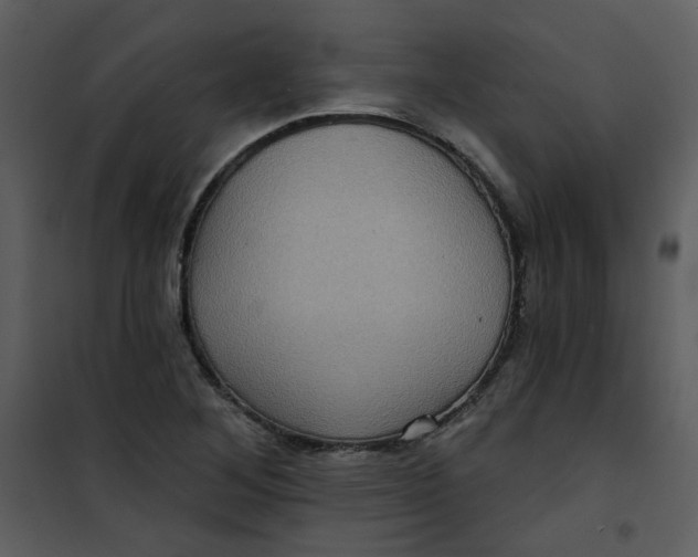 X0000101161268200807181350