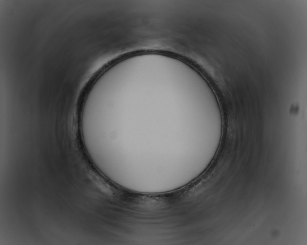 X0000101161270200807181350