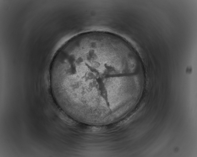 X0000101161271200807181350