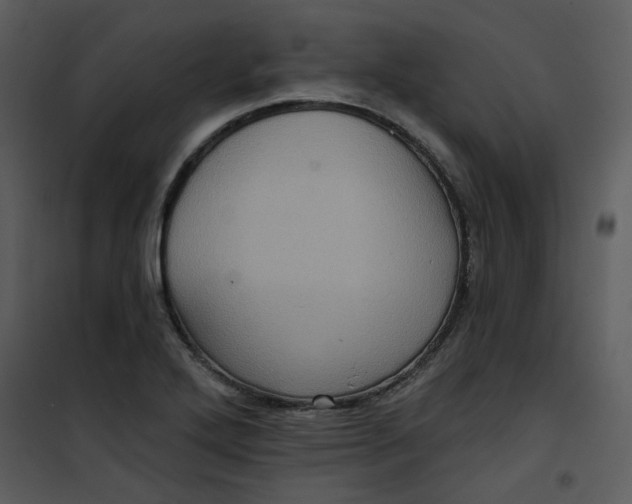 X0000101161272200807181350