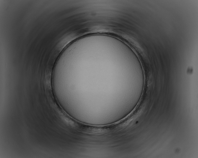 X0000101161273200807181350