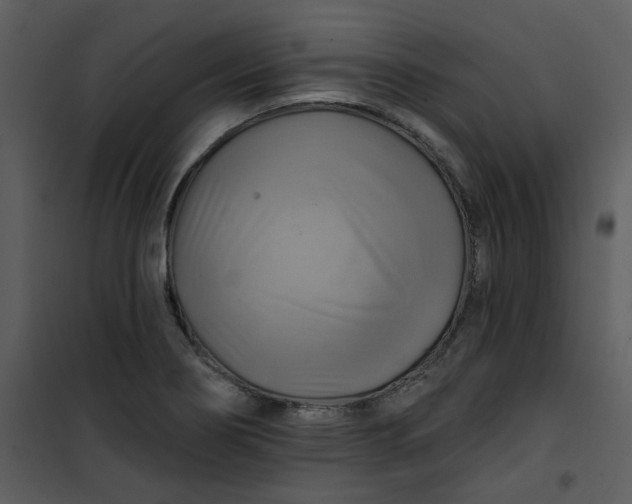 X0000101161274200807181350