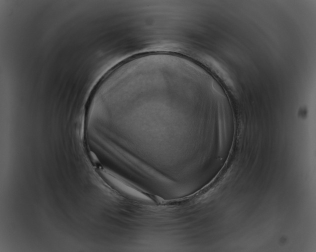 X0000101161276200807181350