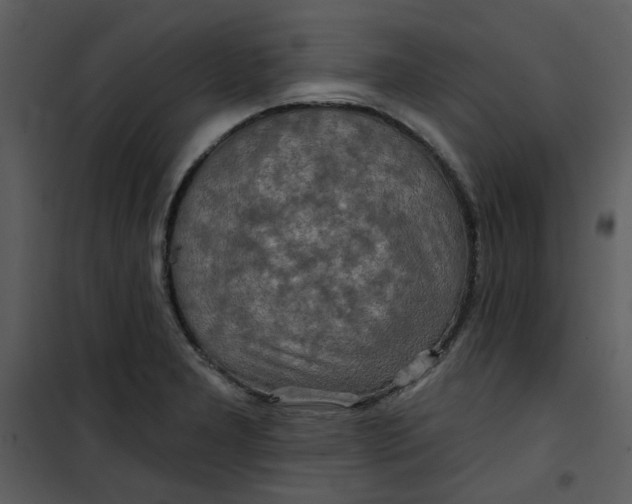 X0000101161277200807181350