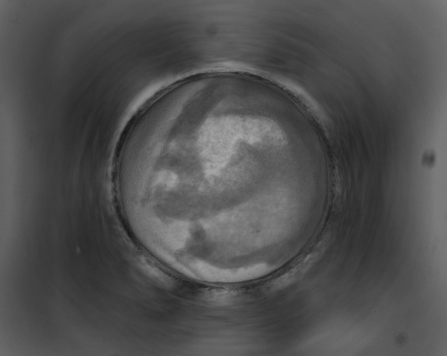 X0000101161278200807181350