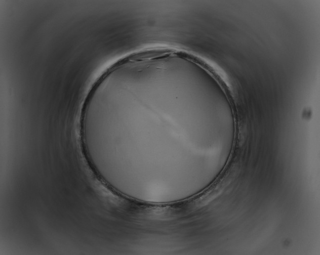 X0000101161279200807181350