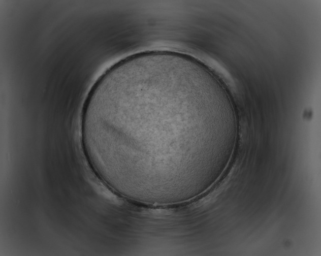 X0000101161280200807181350