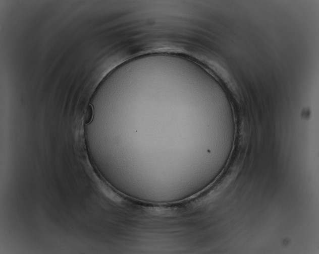 X0000101161281200807181350