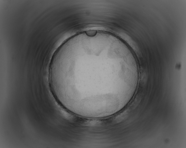 X0000101161282200807181350