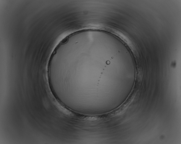 X0000101161283200807181350