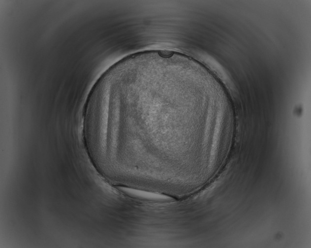 X0000101161284200807181350