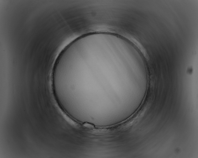 X0000101161285200807181350