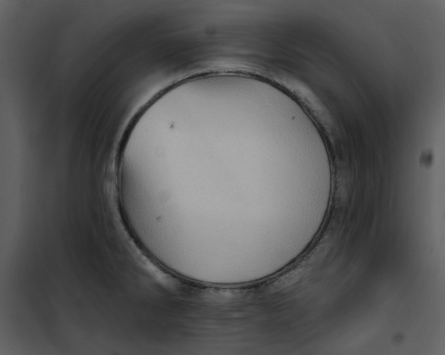 X0000101161286200807181350