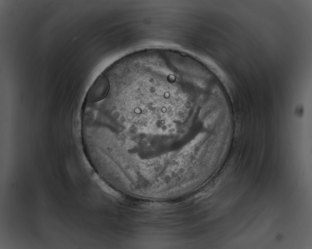 X0000101161287200807181350