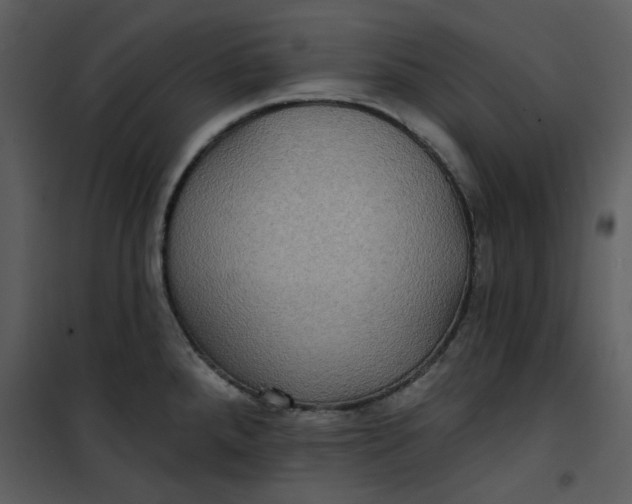 X0000101161288200807181350