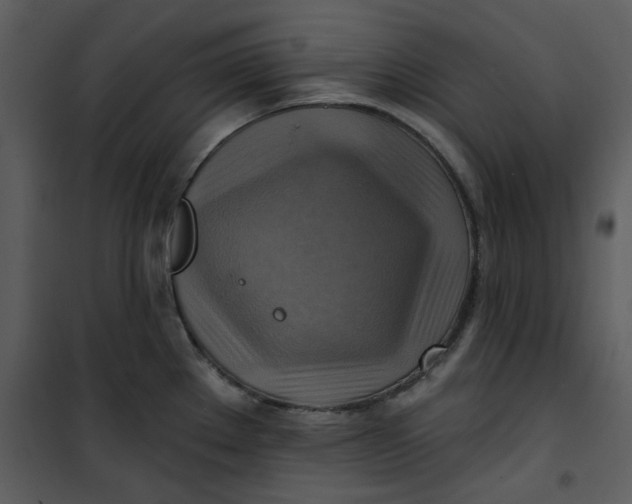 X0000101161289200807181350