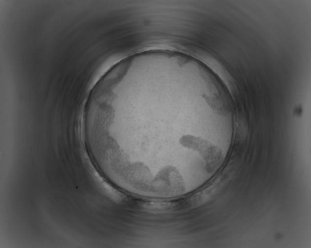 X0000101161290200807181350