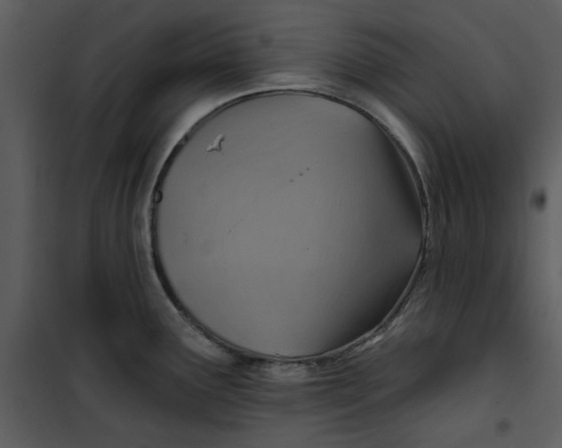 X0000101161291200807181350