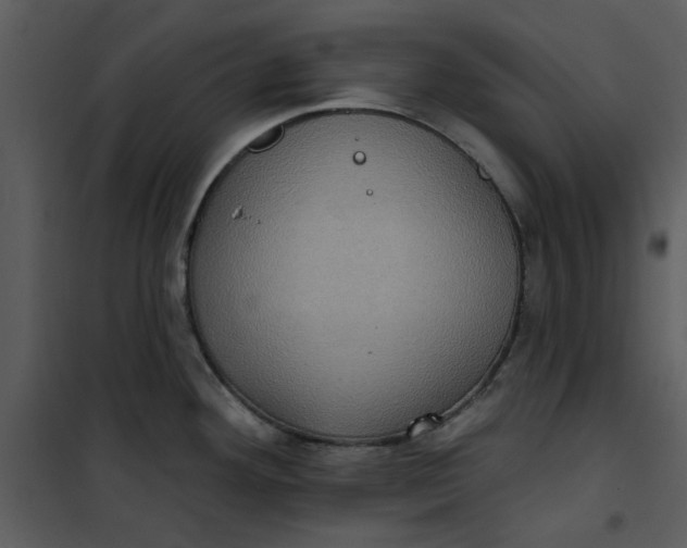 X0000101161292200807181350