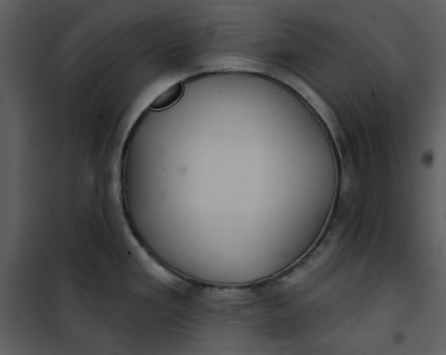 X0000101161293200807181350