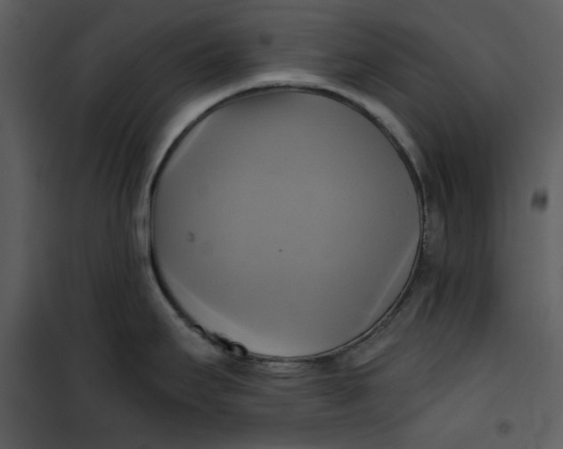 X0000101161295200807181350