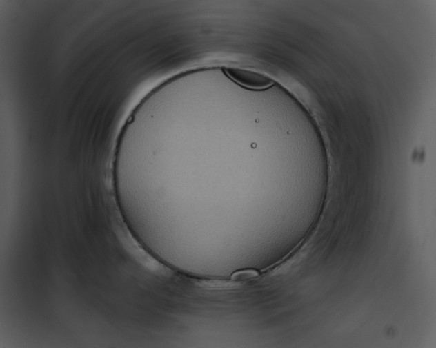 X0000101161296200807181350