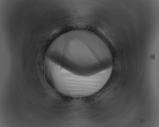 X0000101161297200807181349