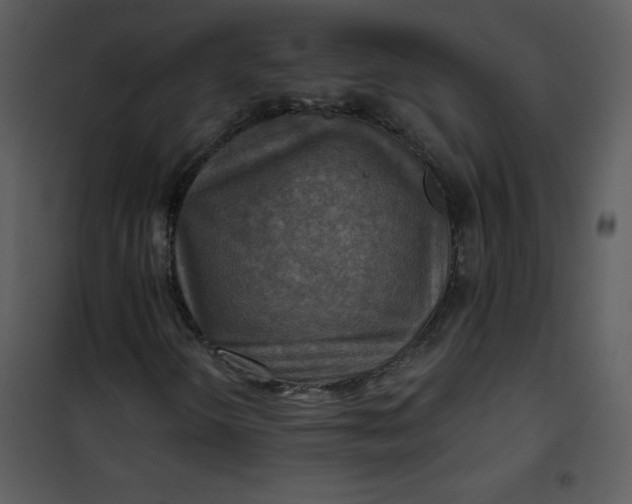 X0000101161298200807181349