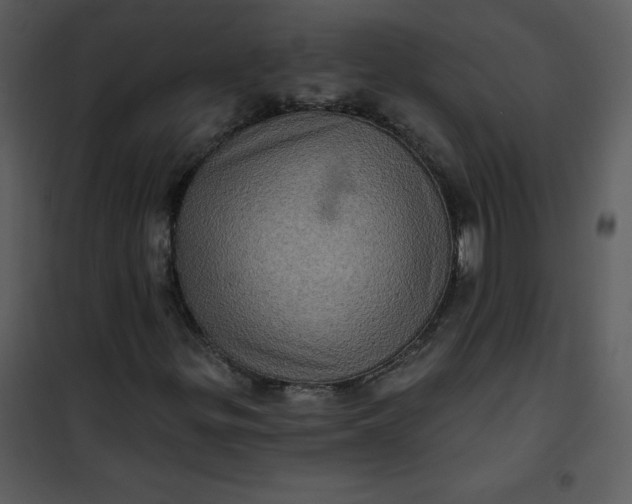 X0000101161299200807181349