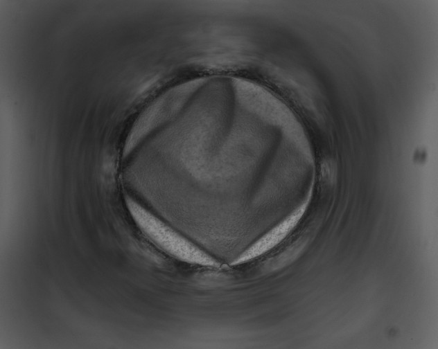 X0000101161300200807181349