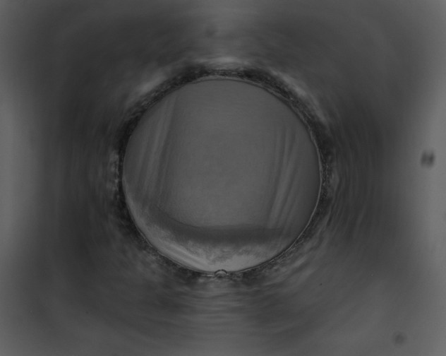 X0000101161301200807181349