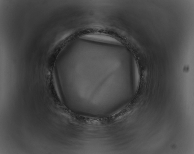 X0000101161302200807181349