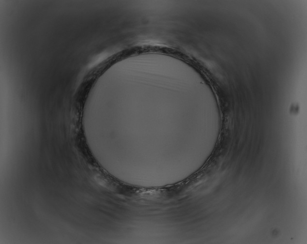 X0000101161303200807181349