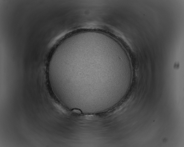 X0000101161304200807181349